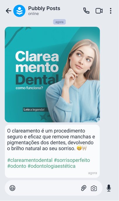 Pubbly Posts no WhatsApp